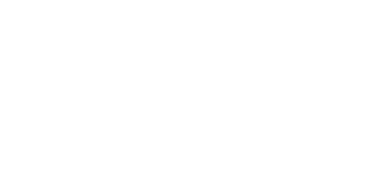 Dual logo white Dual logo white